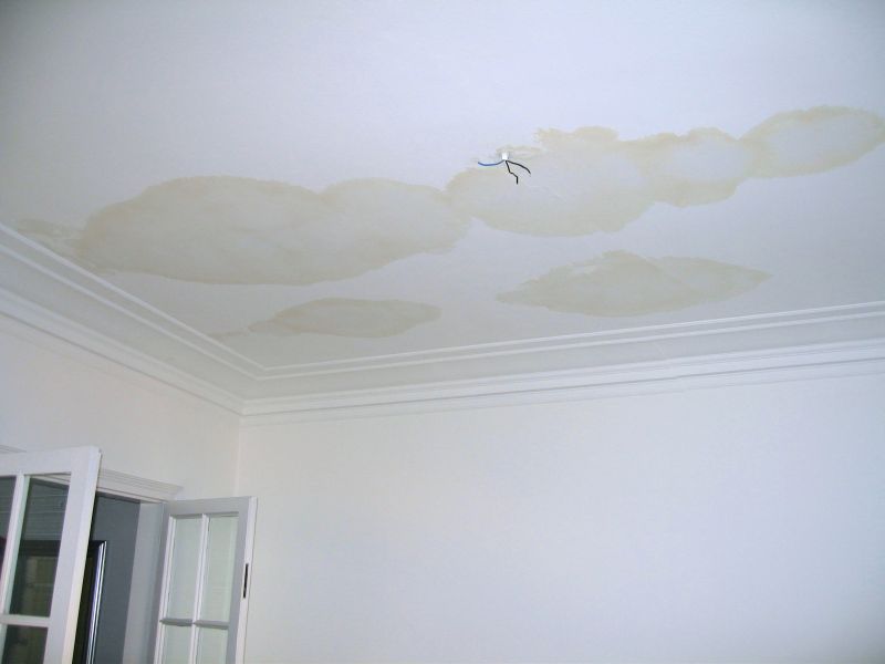 Ceiling Water Damage Repair in Wilmington, NC