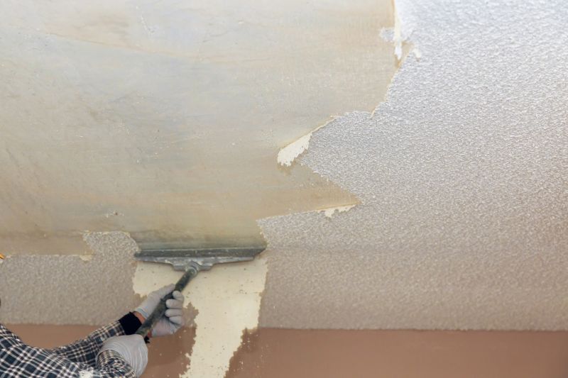 Textured Ceiling Removal in Olathe, KS