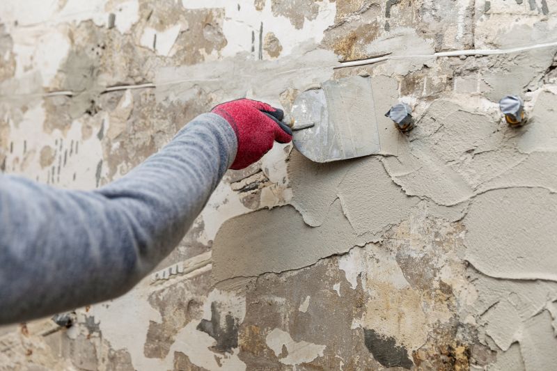 Wall Plaster Repair