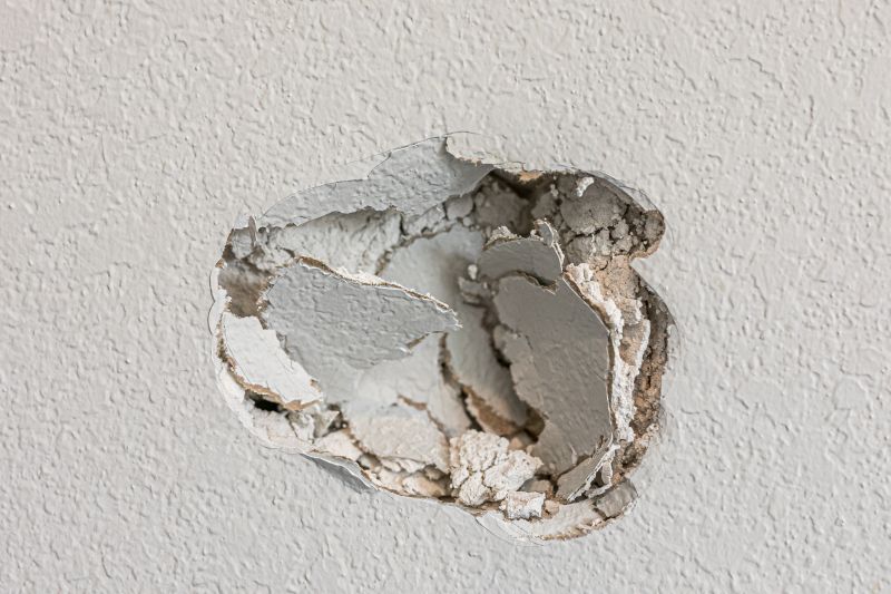 Wall Plaster Repair